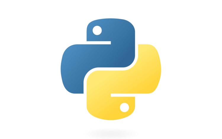 Introducción a Python: Aprende los Fundamentos del Lenguaje más Versátil